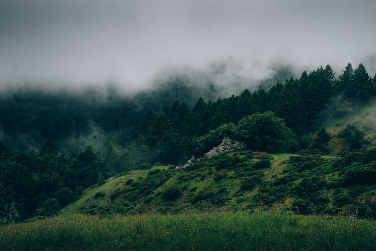 独家货源的攻击网站在线工具